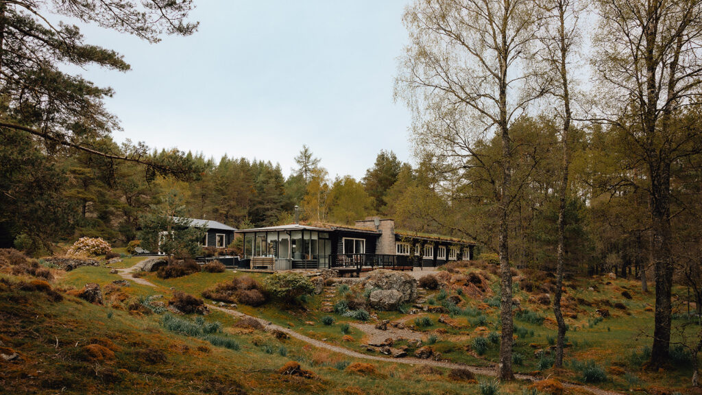 Our Cabin in the Woods